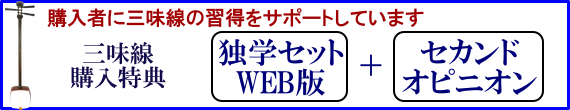 セカンドオピニオン