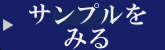 サンプル