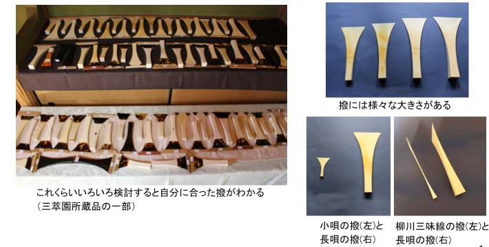 三味線の撥の種類