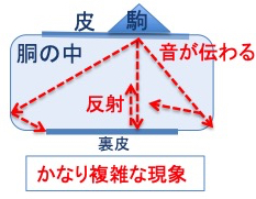 特`郁JjY@F̊{